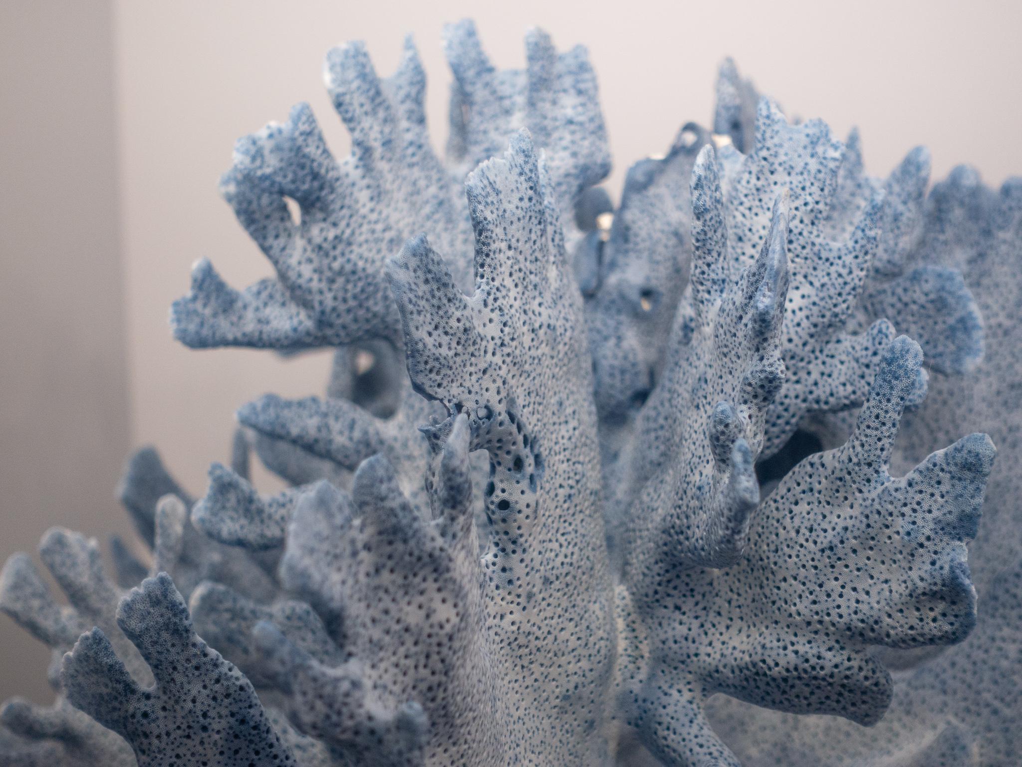 Contemporary Blue Coral Mounted