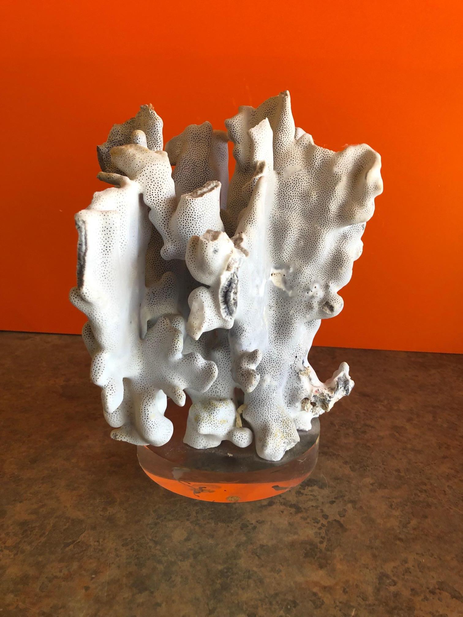 Hollywood Regency Blue Coral Organic Sculptural Specimen on Lucite Base