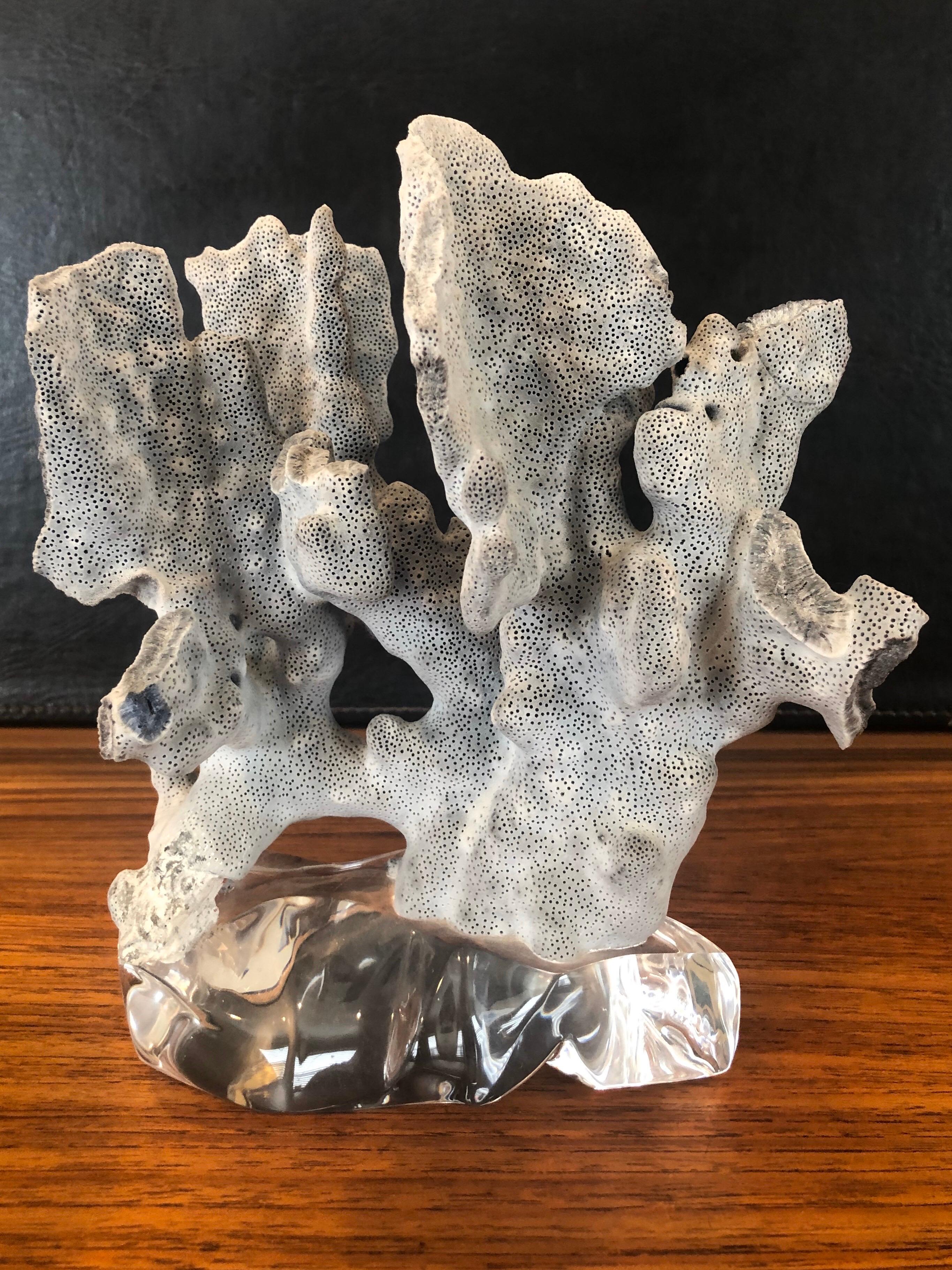 Hollywood Regency Blue Coral Organic Sculptural Specimen on Lucite Base For Sale