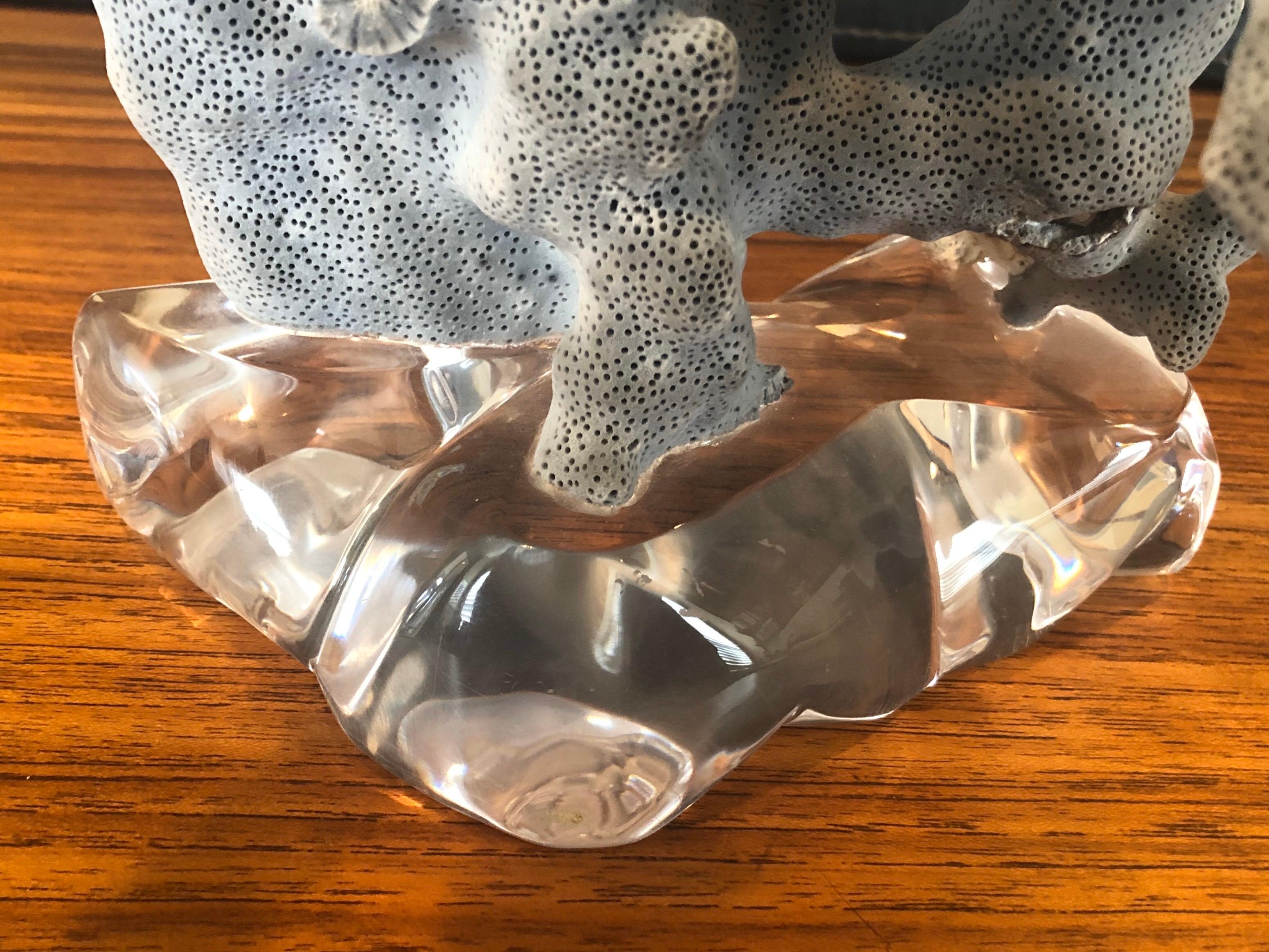 Blue Coral Organic Sculptural Specimen on Lucite Base In Good Condition In San Diego, CA