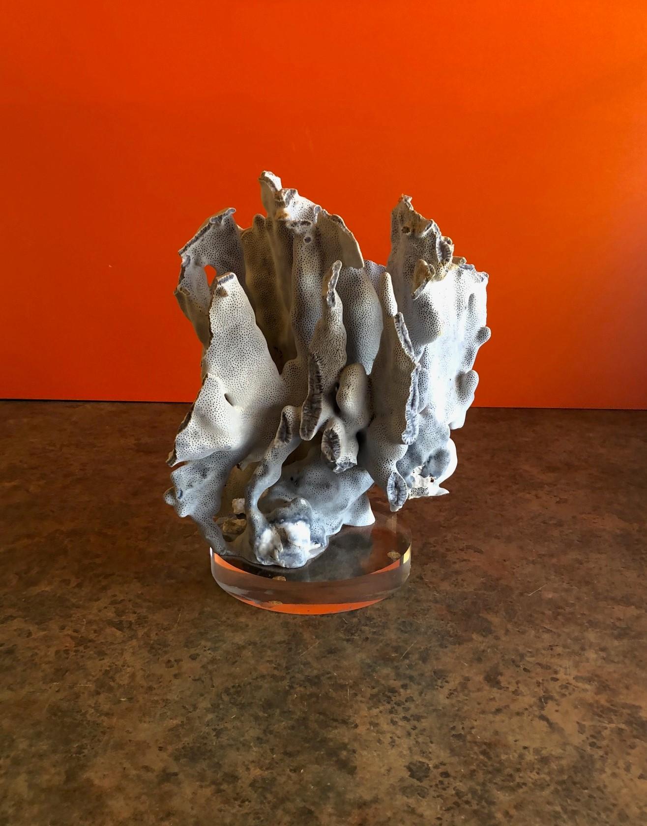 Blue Coral Organic Sculptural Specimen on Lucite Base 1