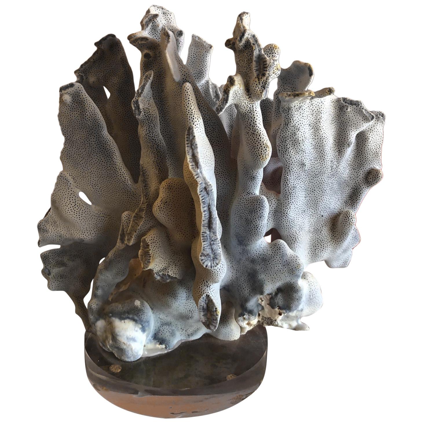 Blue Coral Organic Sculptural Specimen on Lucite Base