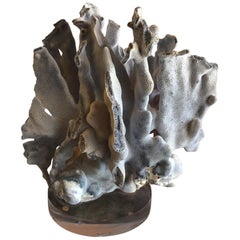 Blue Coral Organic Sculptural Specimen on Lucite Base