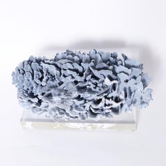 Blue Coral Sculpture on Lucite