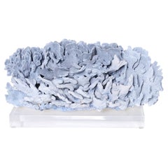 Blue Coral Sculpture on Lucite
