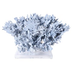 Blue Coral Sculpture on Lucite