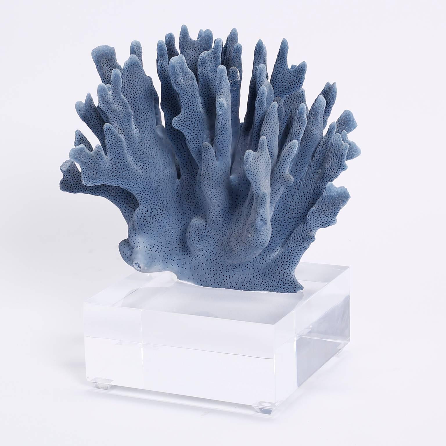 Enticing blue coral specimen with an alluring sea inspired color and organic shape. Presented on a custom Lucite stand to enhance the sculptural elements. Designed by FS Henemader.

 