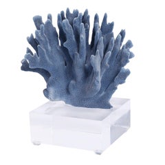 Blue Coral Sculpture on Lucite Priced 