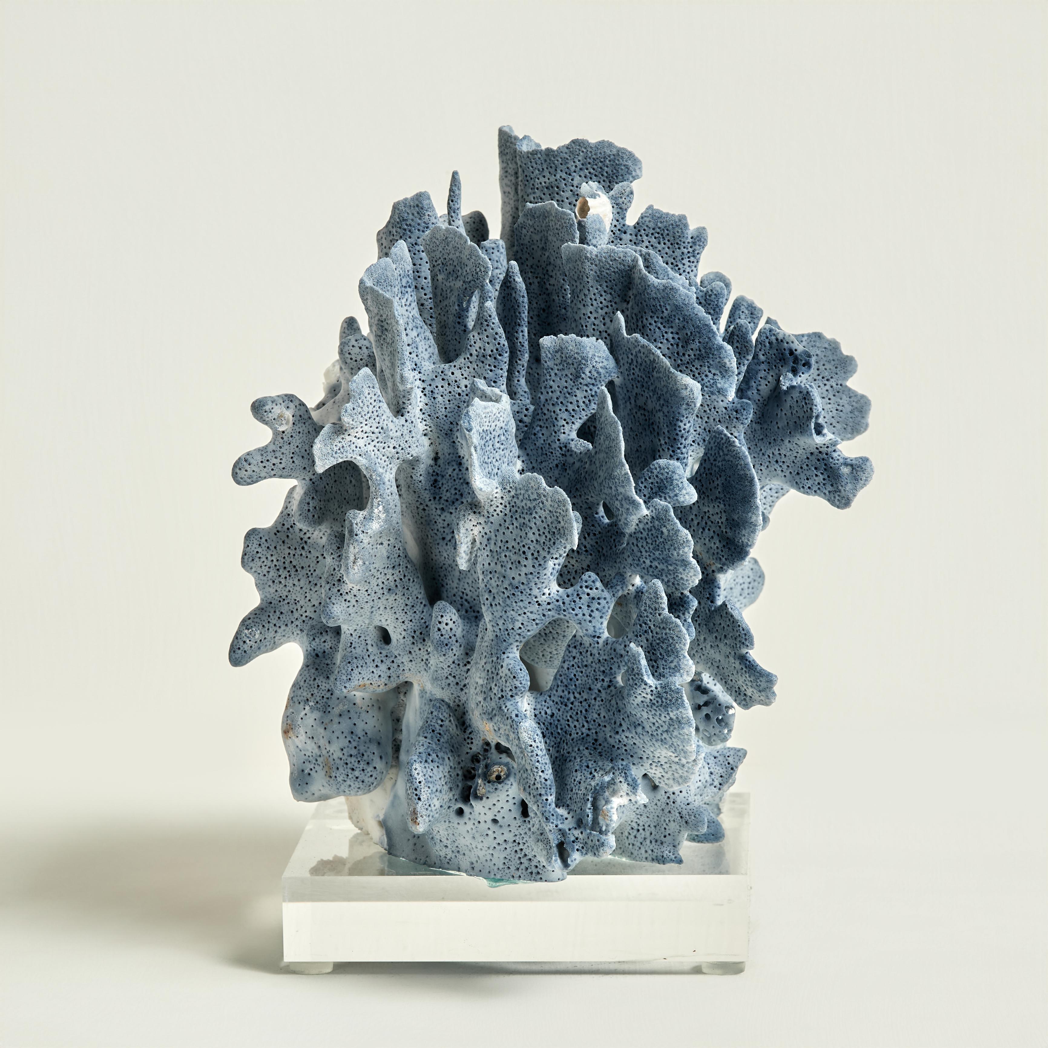 Sculture di corallo blu su lucite in vendita 2