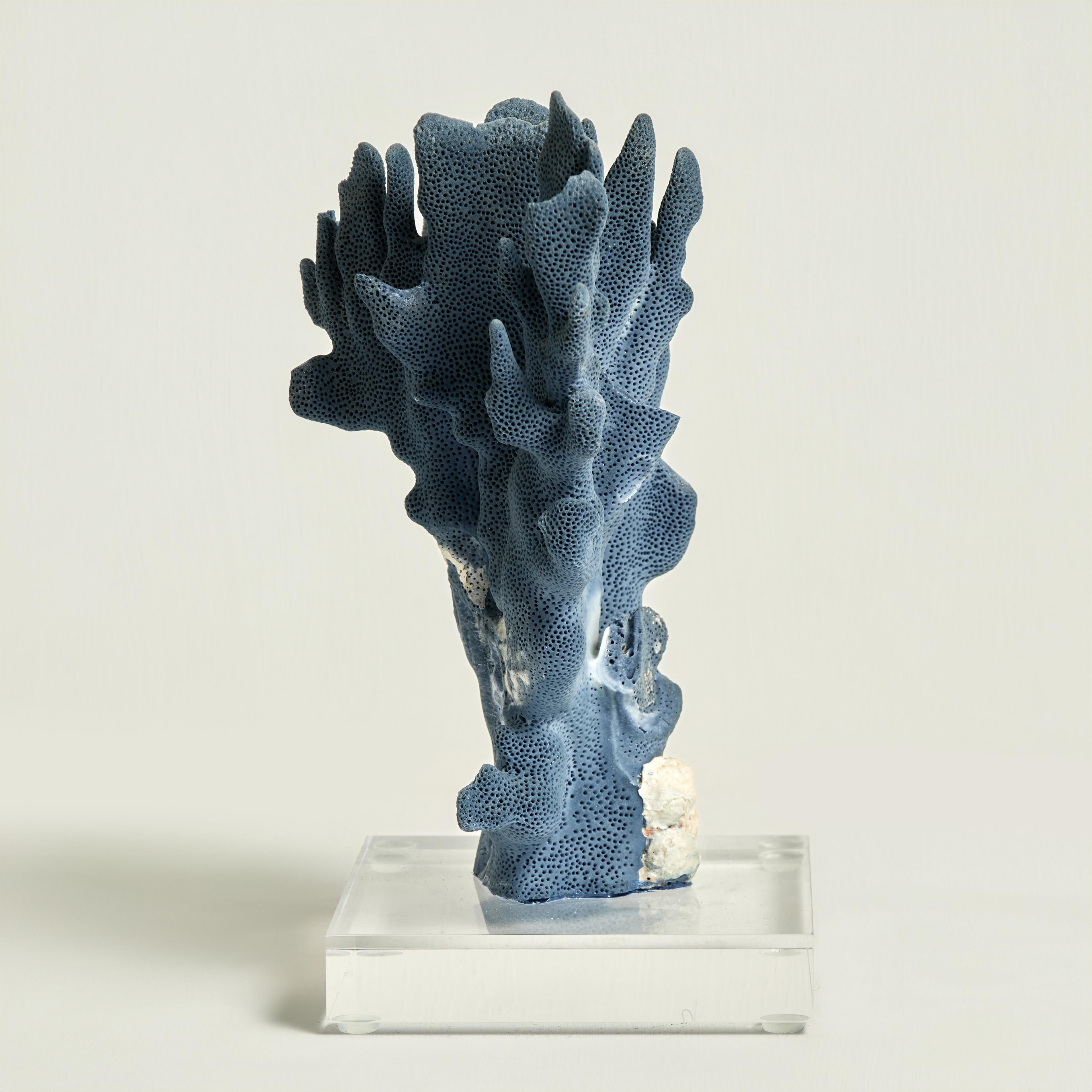 Sculture di corallo blu su lucite in vendita 5