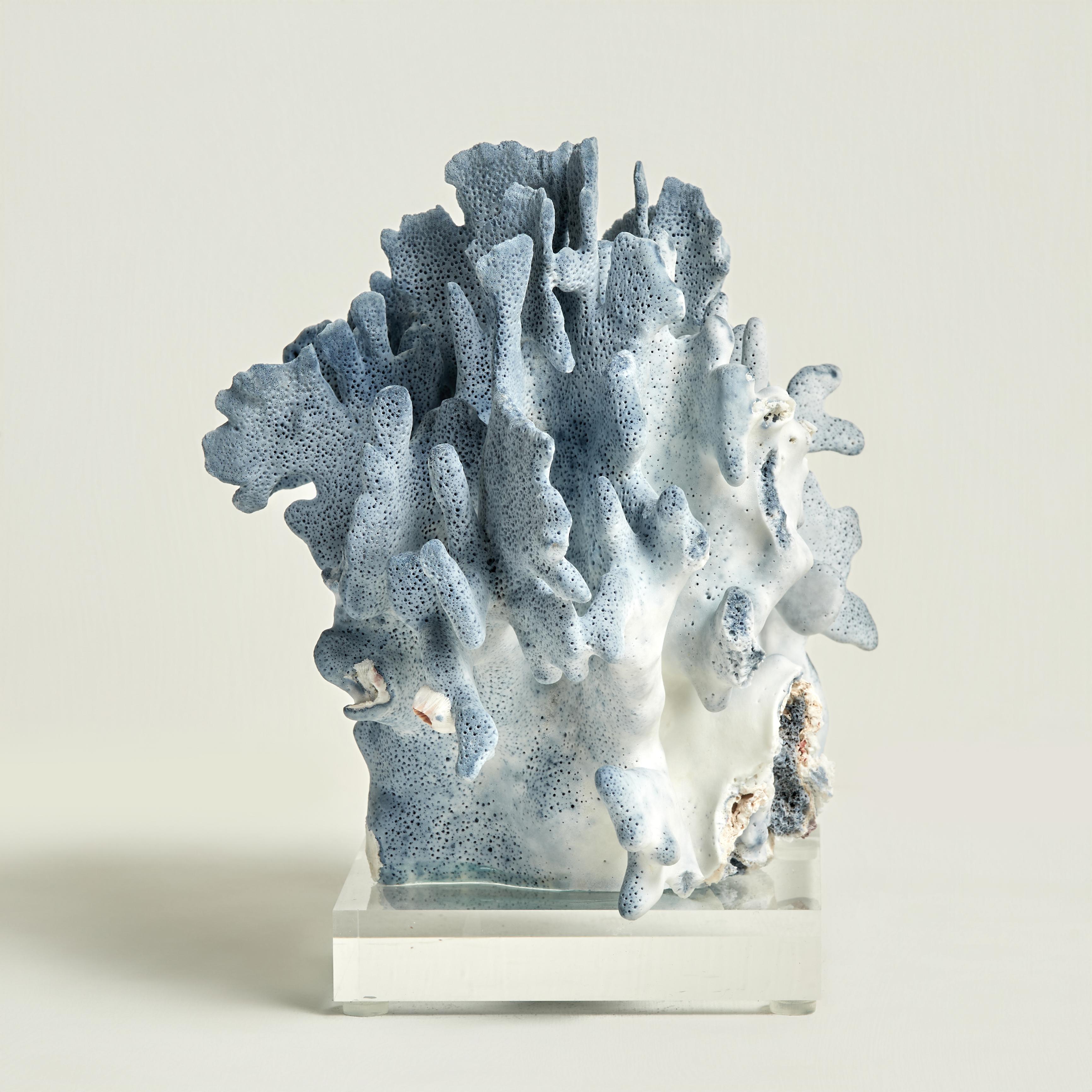 Materiale organico Sculture di corallo blu su lucite in vendita
