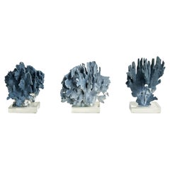 Blue Coral Sculptures on Lucite