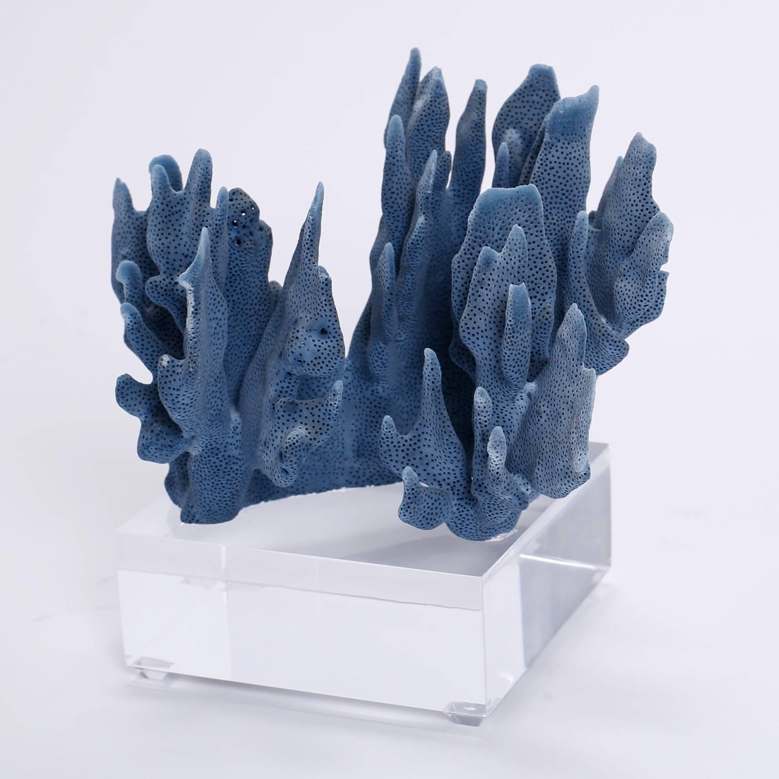 Enticing group of three blue coral specimens each with its own alluring sea inspired colors and organic shapes and textures. Presented on custom Lucite stands to enhance the sculptural elements. Priced individually. 

From left to right:

BL04- H