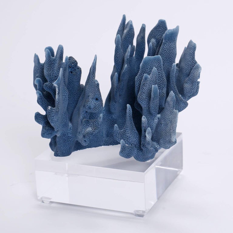 Blue Coral Sculptures on Lucite, Priced Individually at 1stDibs
