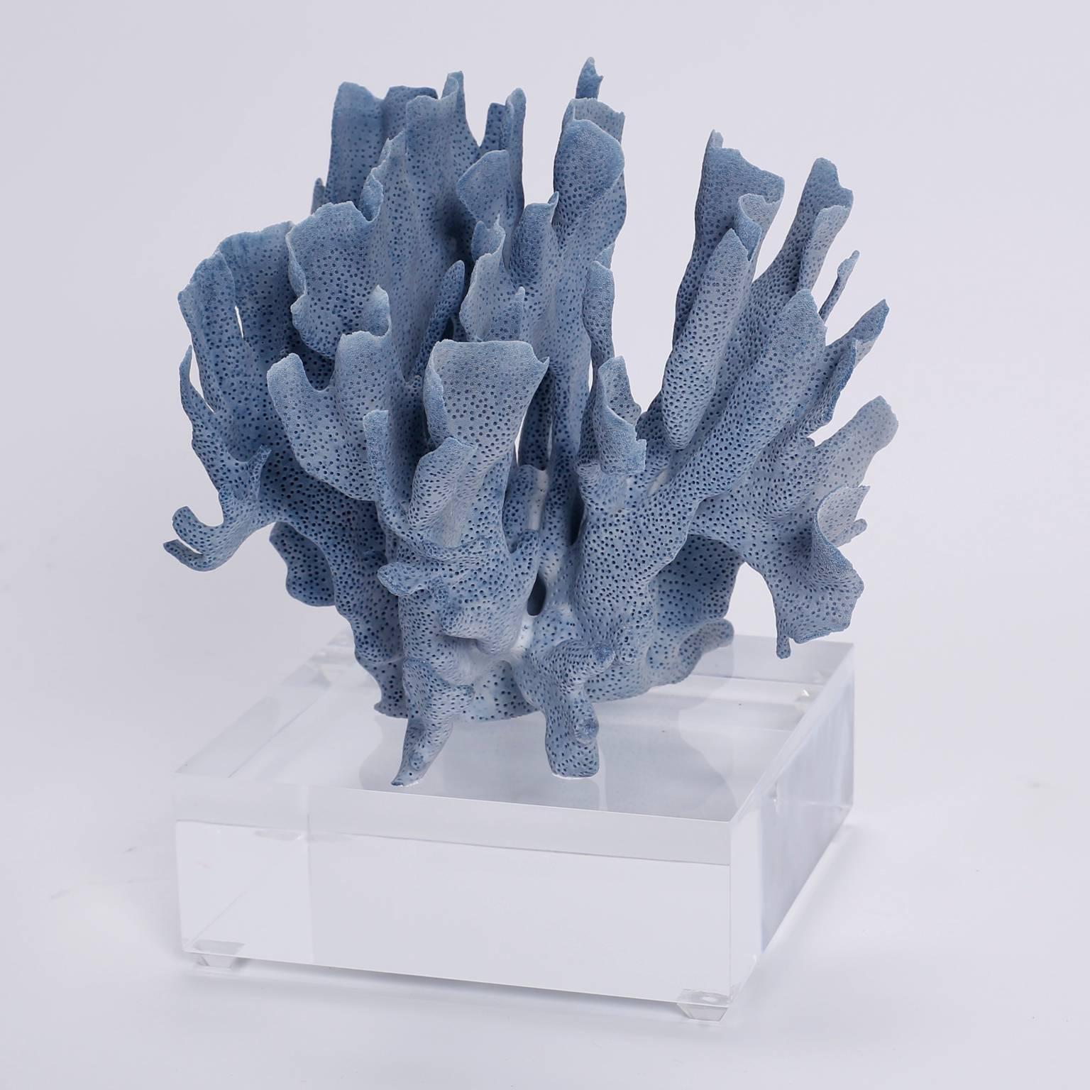 Solomon Islands Blue Coral Sculptures on Lucite, Priced Individually