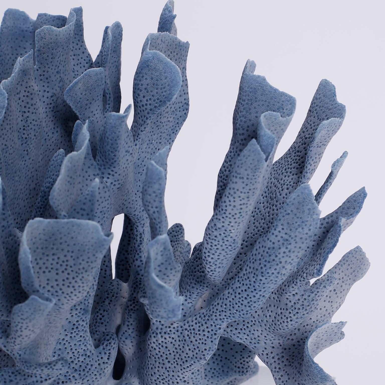 Blue Coral Sculptures on Lucite, Priced Individually In Good Condition In Palm Beach, FL