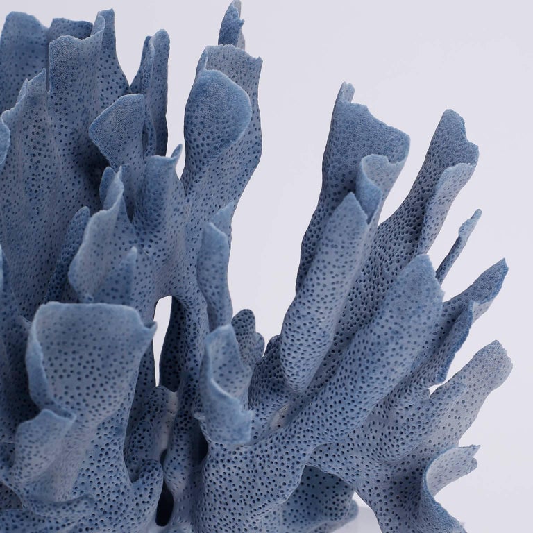Blue Coral Sculptures on Lucite, Priced Individually at 1stDibs