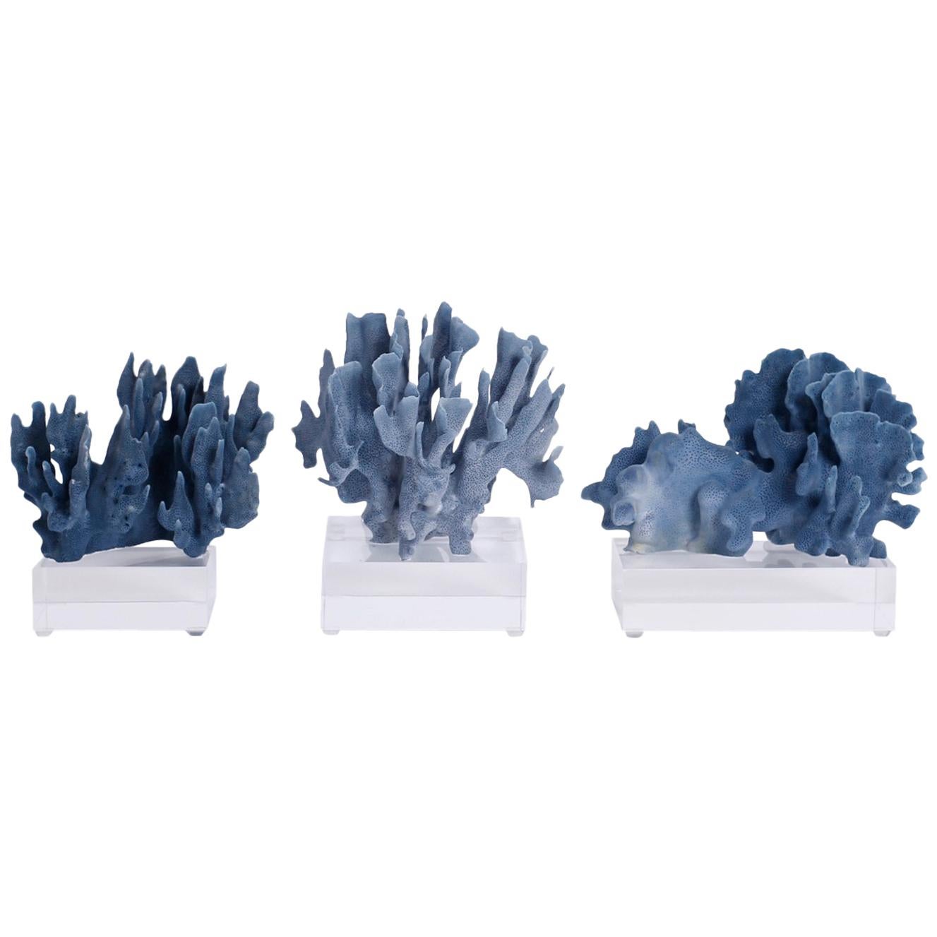 Blue Coral Sculptures on Lucite, Priced Individually