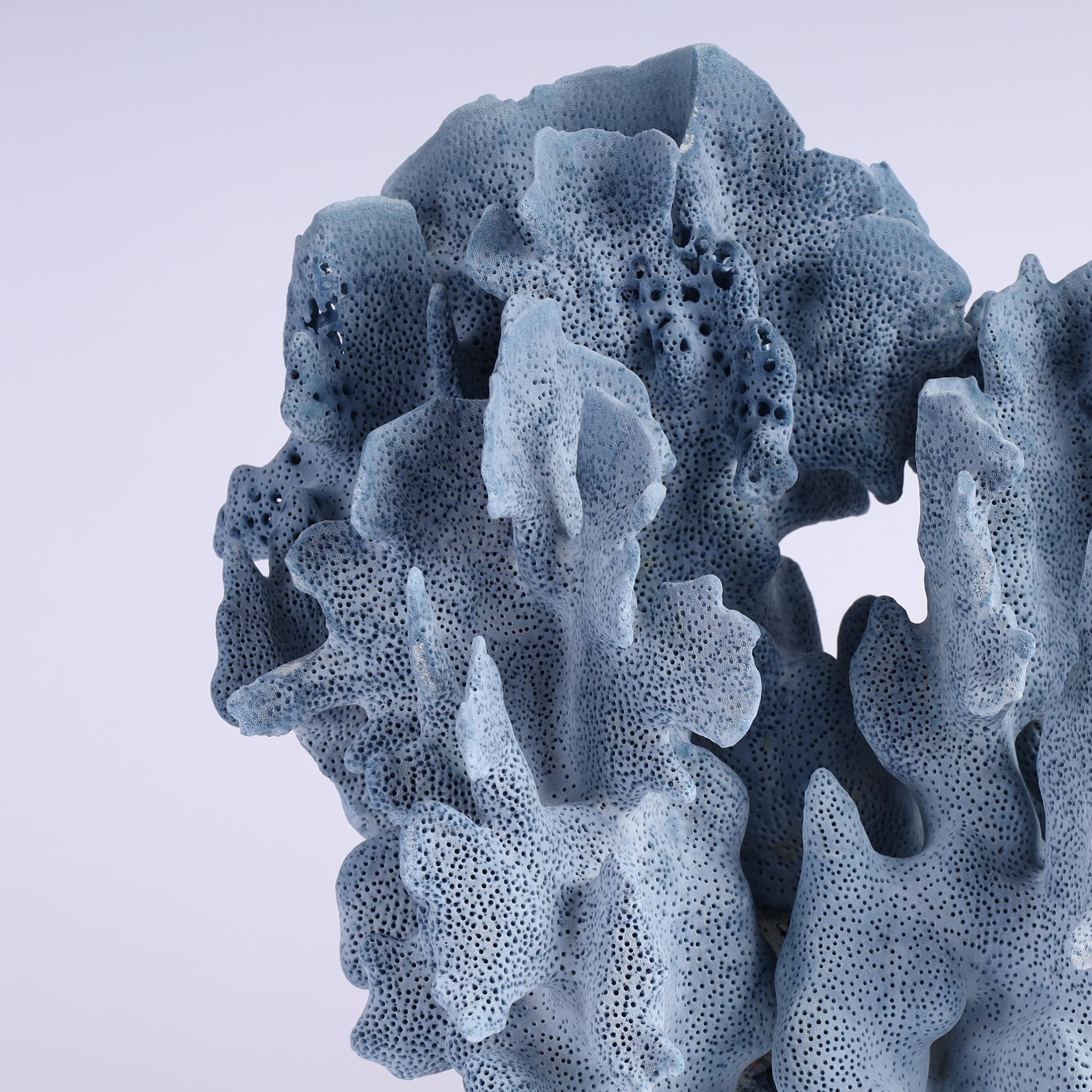 Esemplare di corallo blu che cattura l'attenzione per la sua forma ispirata all'oceano, le sue texture e il suo seducente colore blu. Presentato su una base di lucite per esaltare gli elementi scultorei.  

Can può essere venduto solo negli Stati