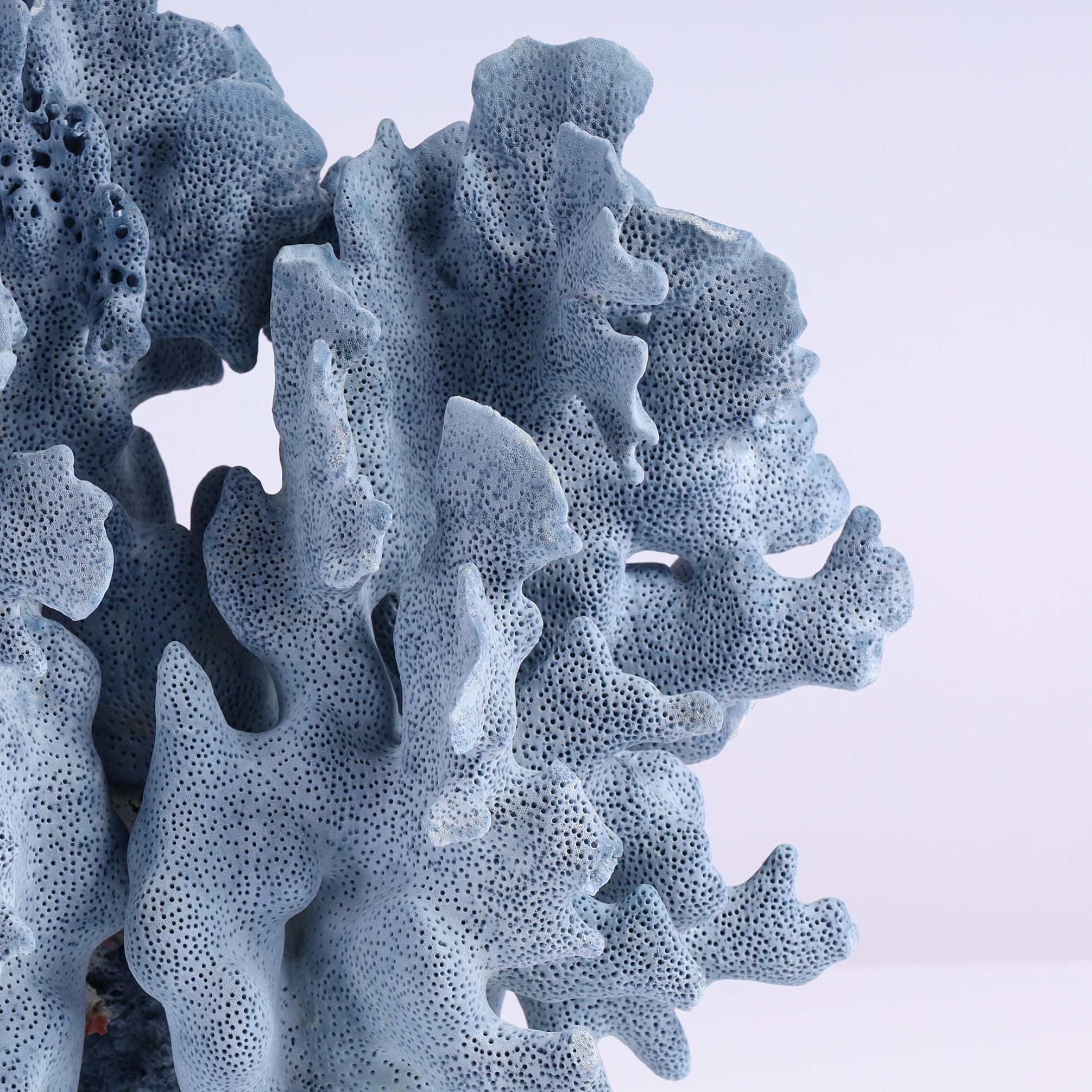 Organico moderno Specimen di corallo blu su lucite in vendita
