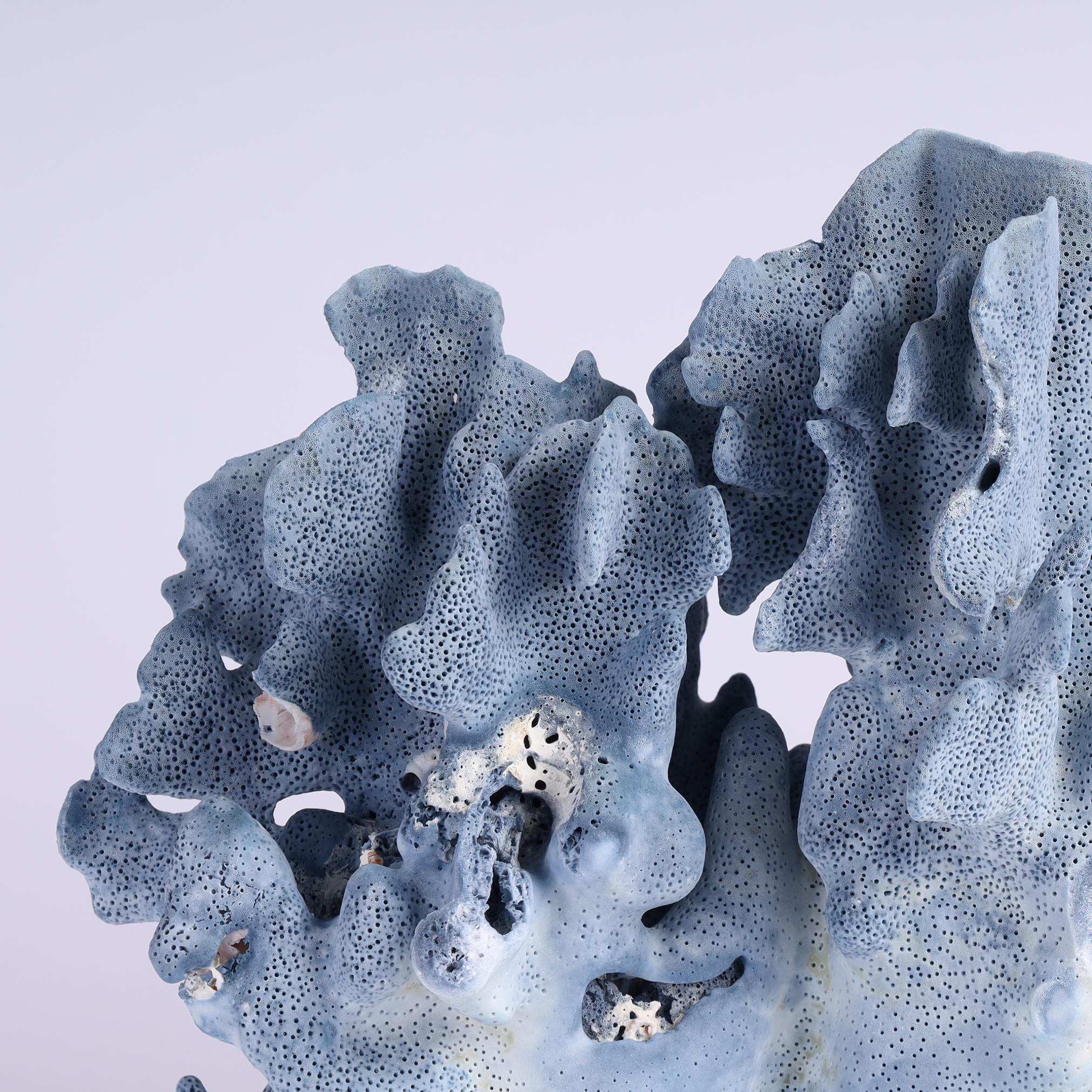 Specimen di corallo blu su lucite in vendita 1