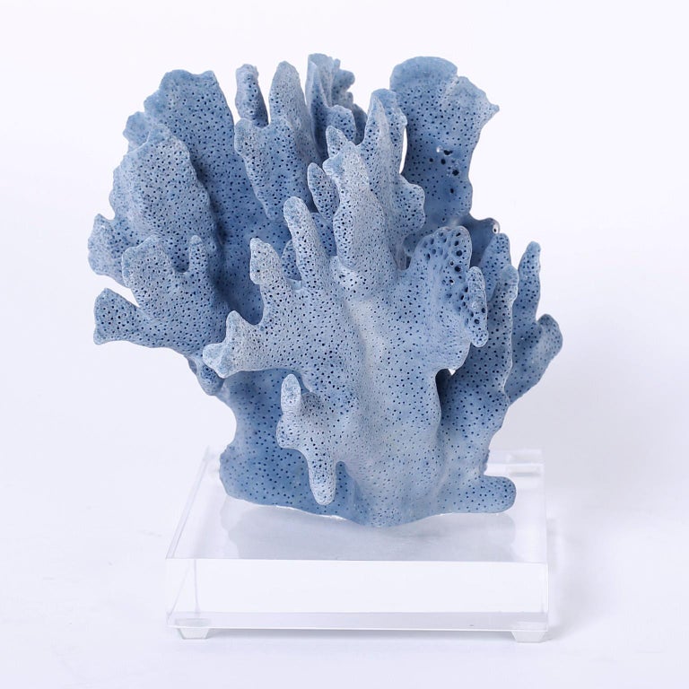 Blue Coral Organic Sculptural Specimen on Lucite Base For Sale at 1stDibs