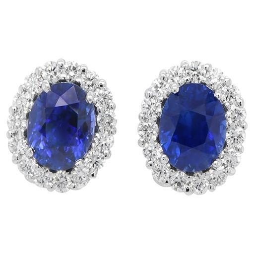 6.04ct Ceylon Royal Blue Sapphires Earrings (Untreated, Swiss Certified) For Sale
