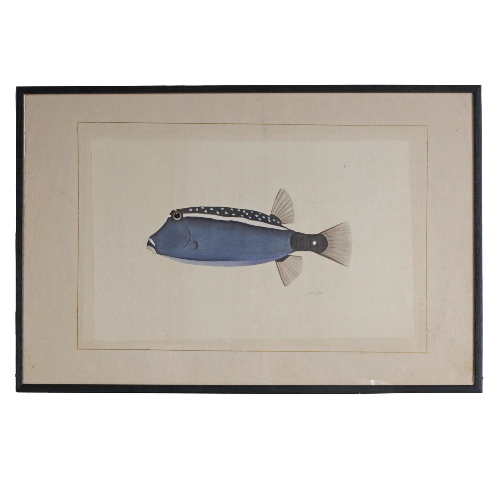 Mid-Century Modern Blue Fish Watercolour by L. R. Laffitte For Sale