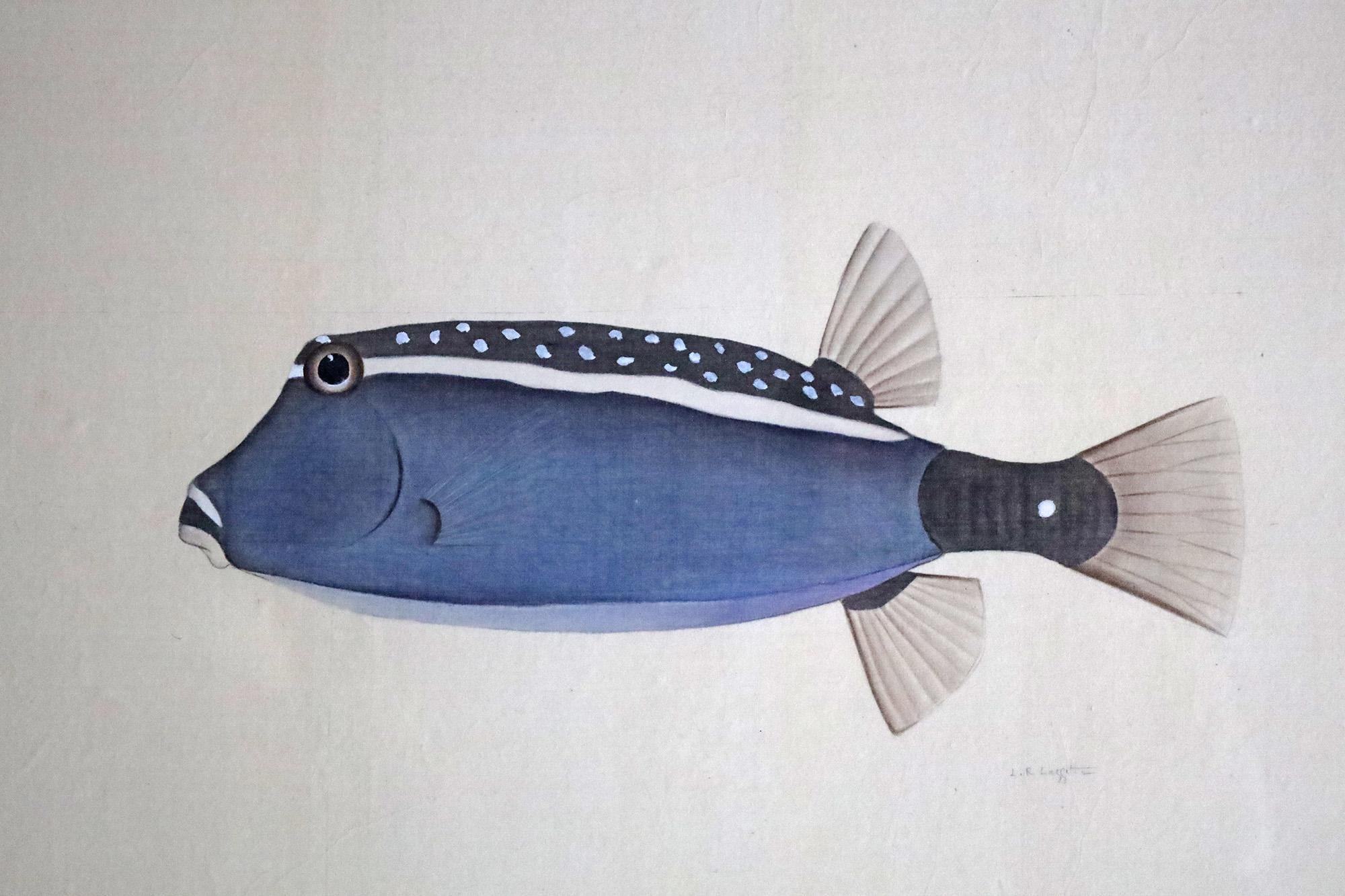 French Blue Fish Watercolour by L. R. Laffitte For Sale