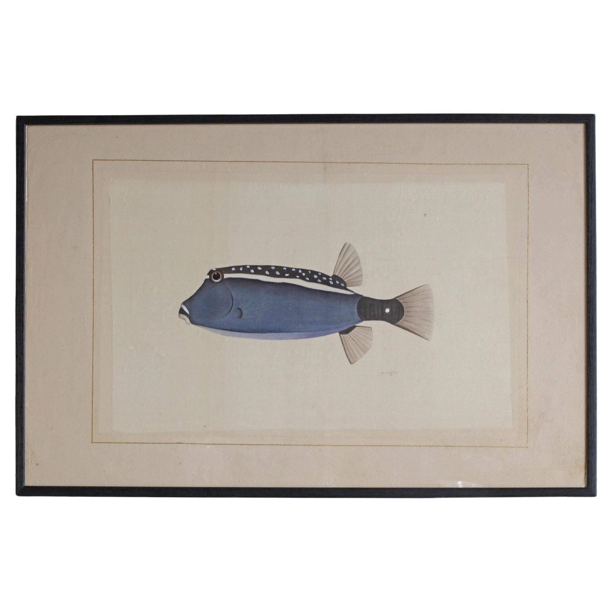 Blue Fish Watercolour by L. R. Laffitte For Sale