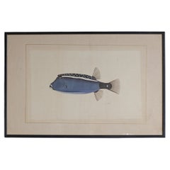 Blue Fish Watercolour by L. R. Laffitte