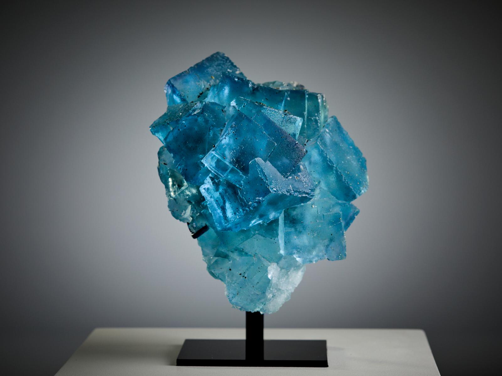 This exquisite specimen from La Viesca, Asturias, Spain showcases a cluster of intense blue fluorite cubes perched gracefully on a delicate white quartz blanket. The crystals display exceptional clarity, sharp geometry, and a luminous depth that