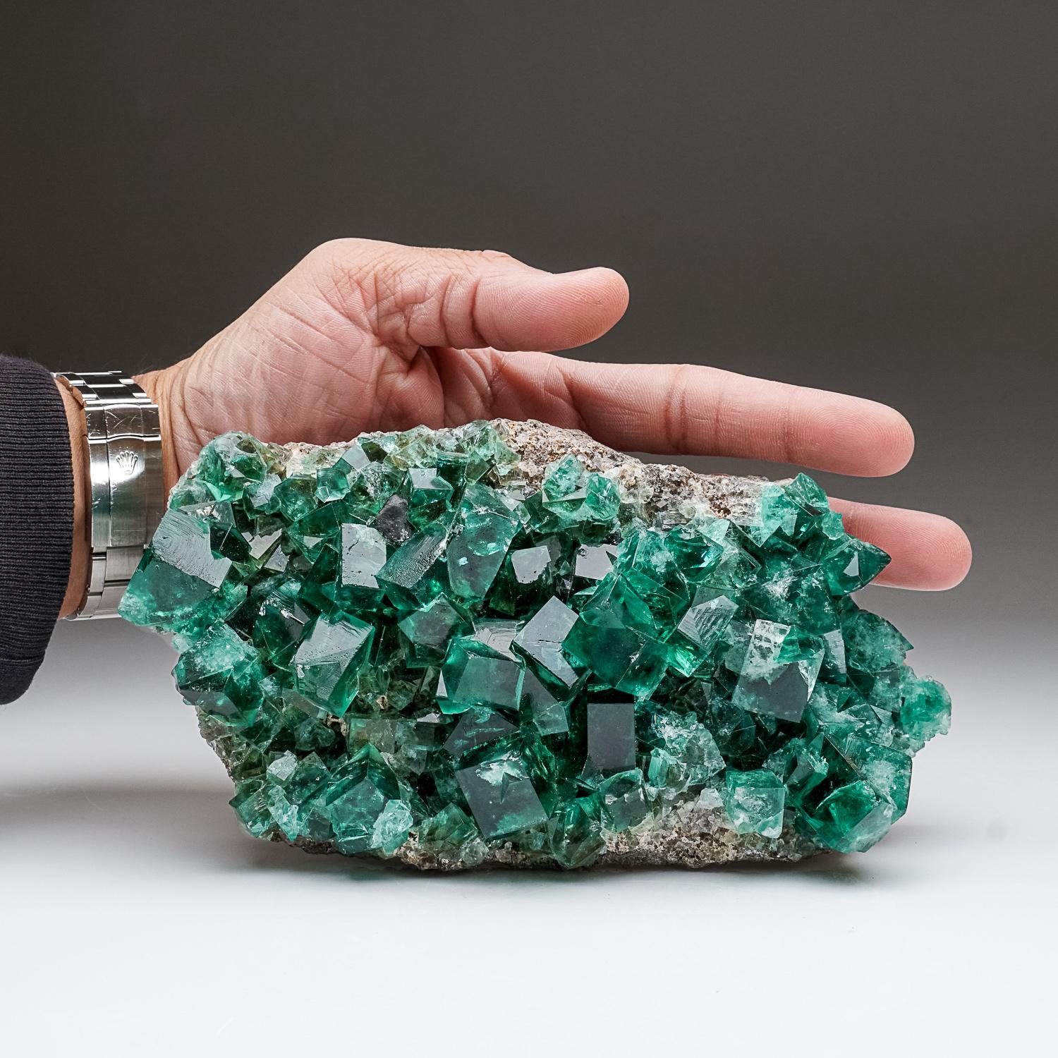 From Rogerley Mine, County Durham, England

Transparent cubic cluster with several interpenetrate-twinned crystals of blue to emerald green fluorite on matrix. The crystals have smooth lustrous faces with sharp terminations.

Measures: Weight: