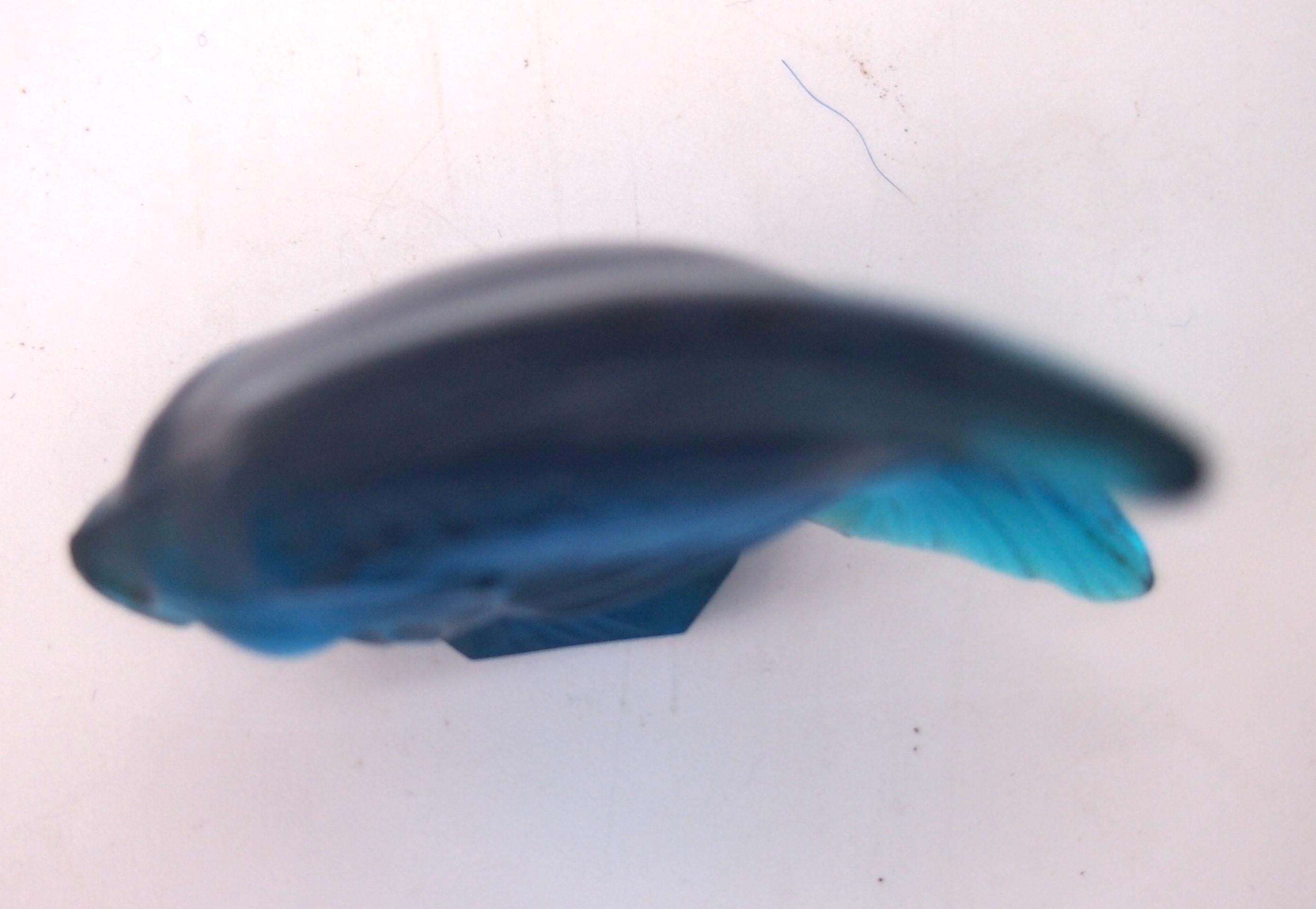 Poisson Cachet Original Bleu Vert de Rene & Greene Lalique des années 1920 Bon état - En vente à Worcester Park, GB