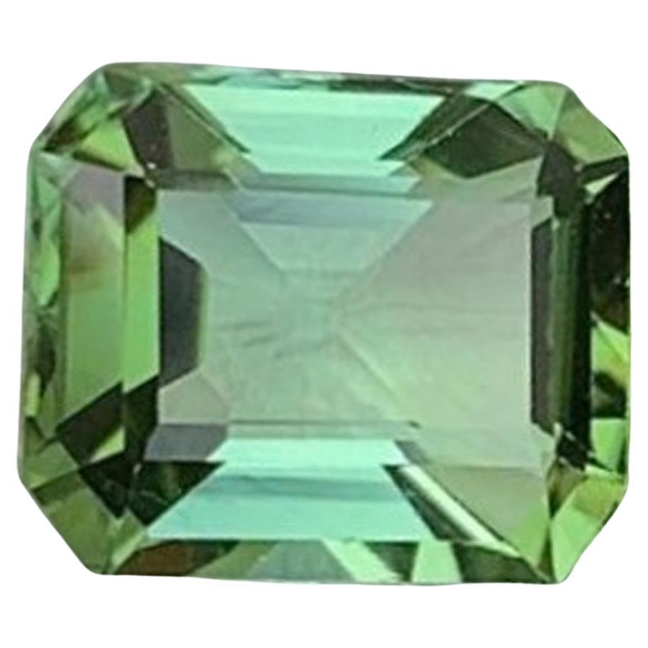 Blauer Grüner Turmalin Edelstein: Natürlicher Oktober-Geburtsstein, Afrika (2.54 CT)