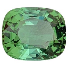 Blue Green Tourmaline Gemstone: Natural October Birthstone, Africa (2.89 CT)