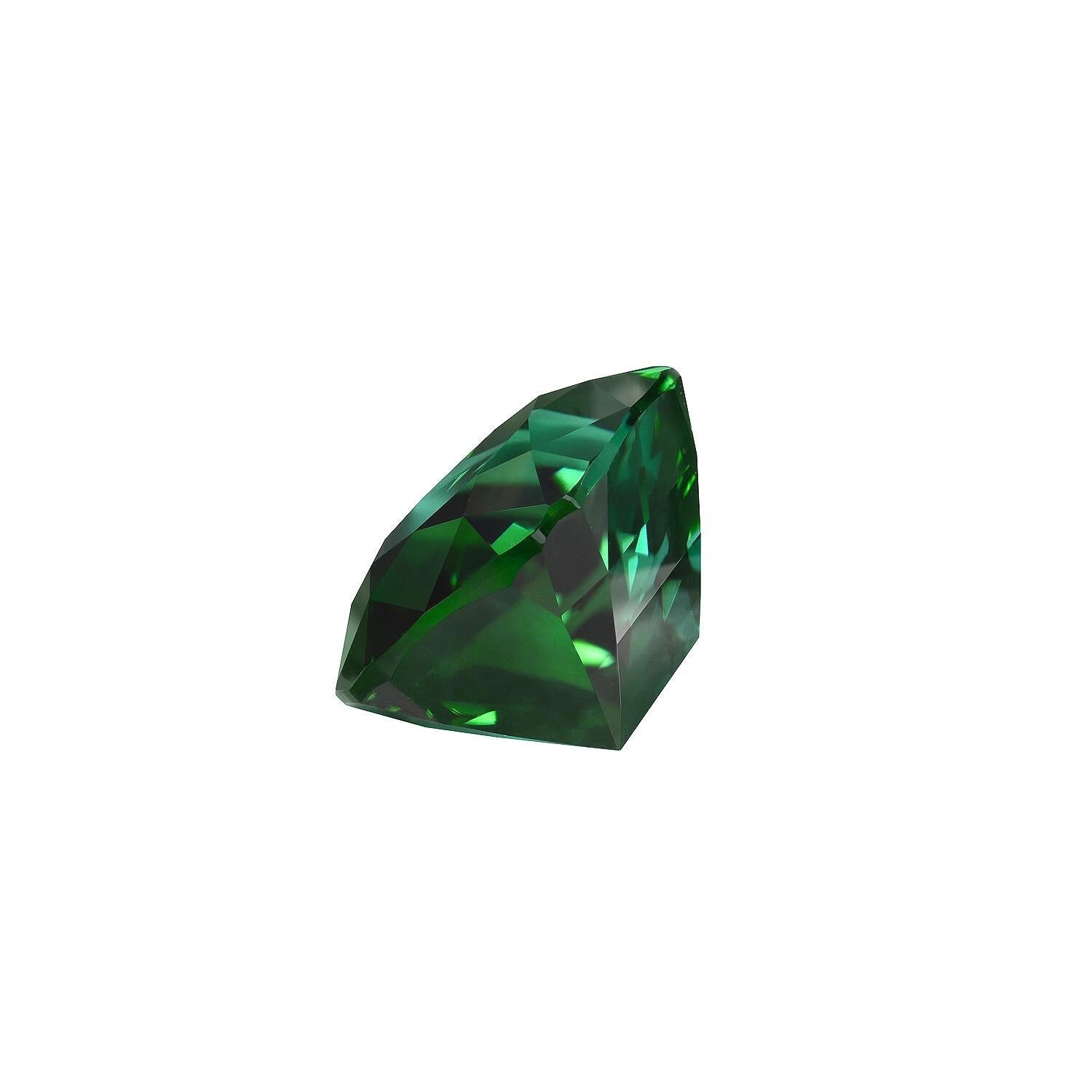 Marvelous 4.65 carat Bluish Green Tourmaline cushion gem, offered loose to someone special.
Returns are accepted and paid by us within 7 days of delivery.
We offer supreme custom jewelry work upon request. Please contact us for more details.
For