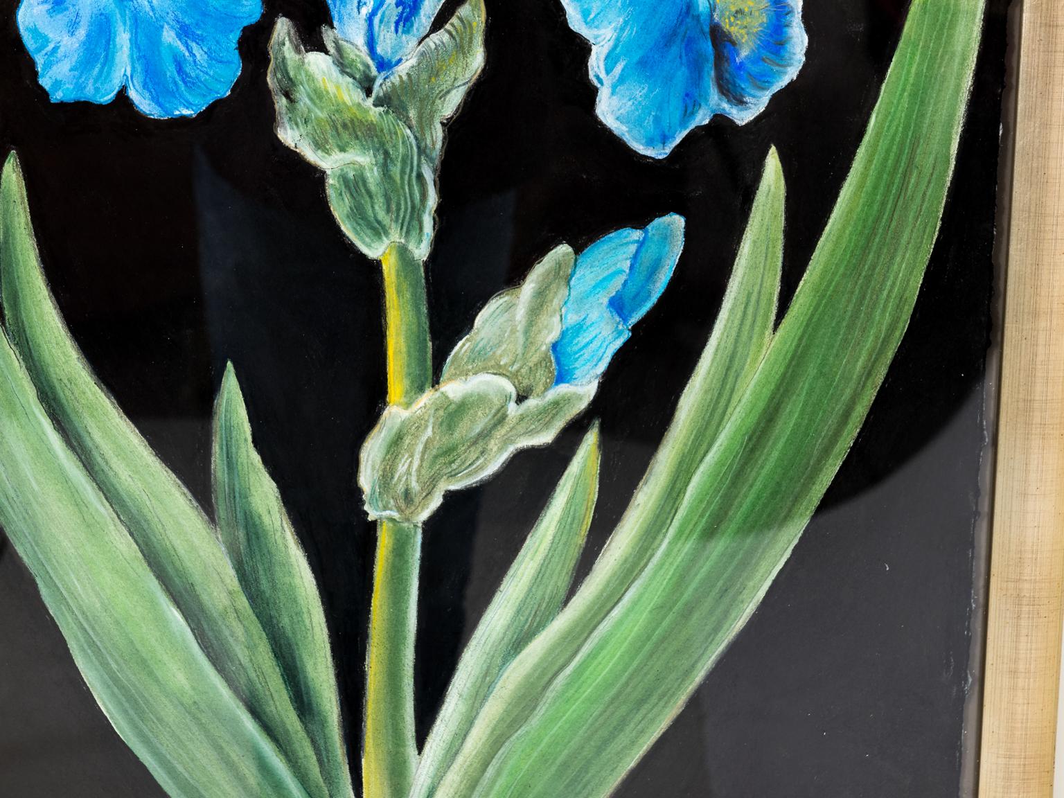 Contemporary Blue Iris Pastel For Sale