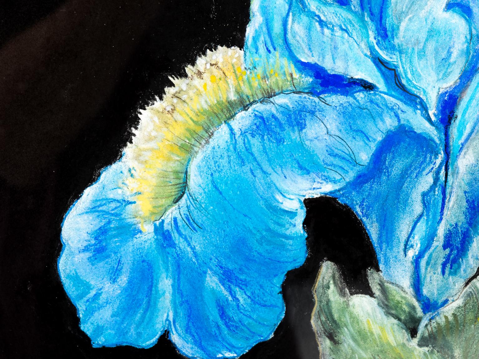 Blue Iris Pastel For Sale 2