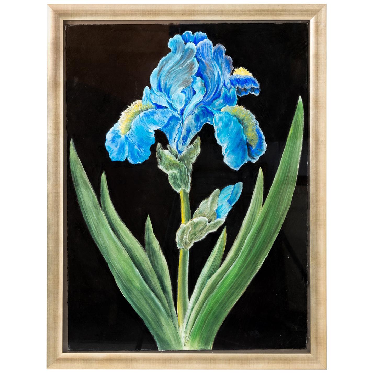 Blue Iris Pastel For Sale