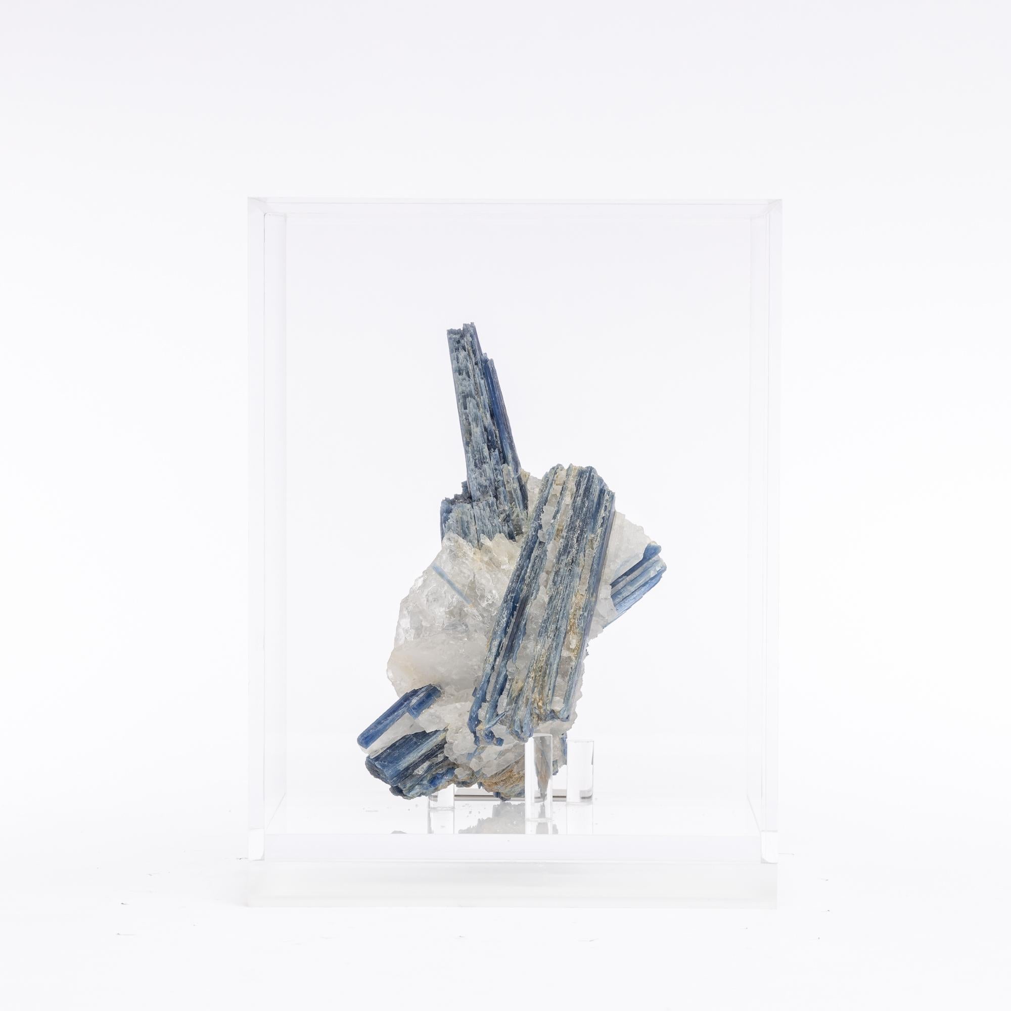 Organic Modern Blue Kyanite and Quartz Specimen on Acrylic Box, Natural Crystal Sculpture