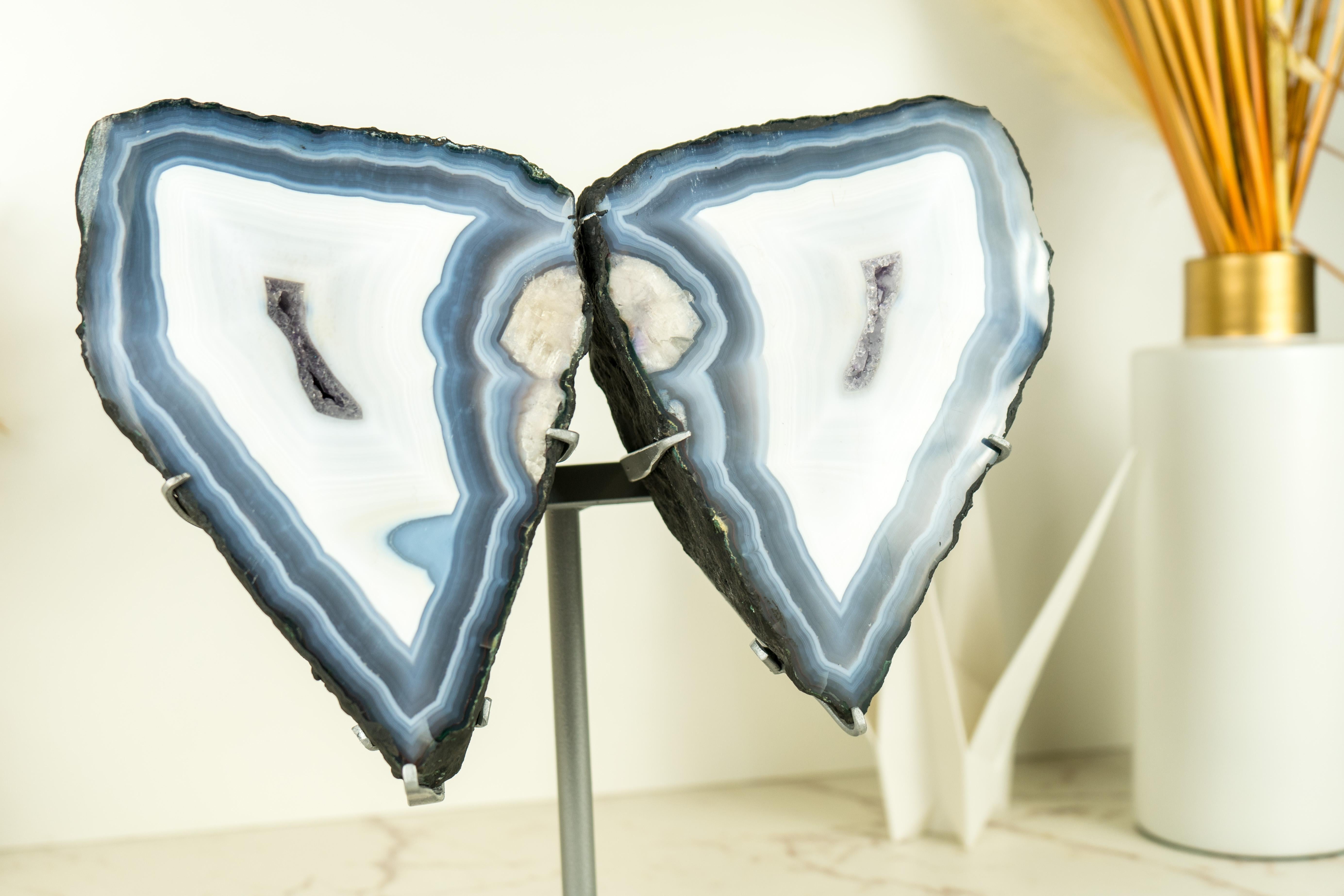 Blue Lace Agate Butterfly Geode Wings with AAA Agate and Amethyst Druzy For Sale 6