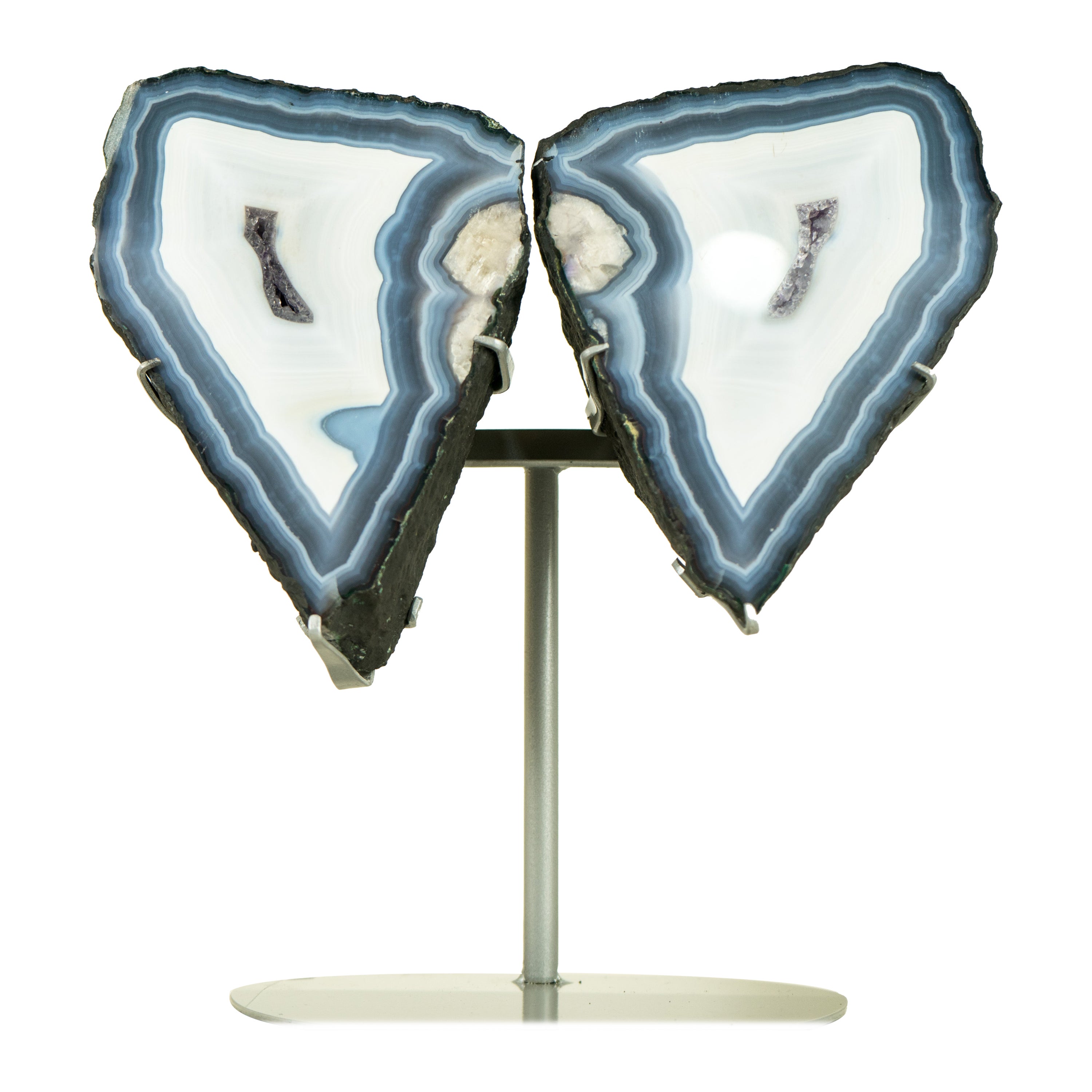 Blue Lace Agate Butterfly Geode Wings with AAA Agate and Amethyst Druzy