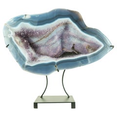 Geoda de Ágata Encaje Azul con Dibujo de un Cisne sobre Druzy Brillante, Una Pintura Natural