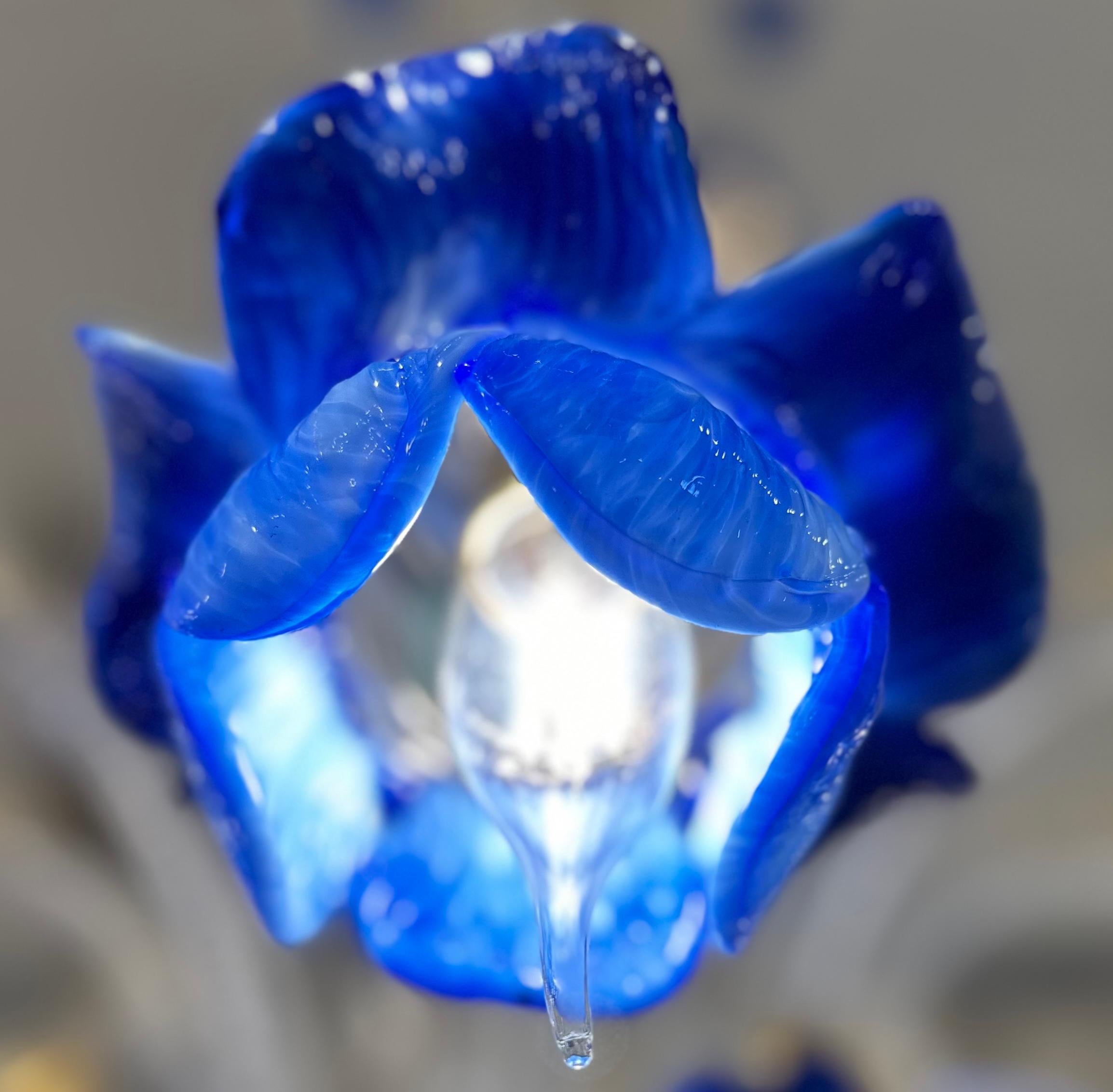 Blauer Murano Glas Floreale Design Kronleuchter (Rokoko) im Angebot