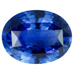 Pierre précieuse non sertie, certifiée GIA, saphir bleu ovale naturel chauffé de 5,02 carats