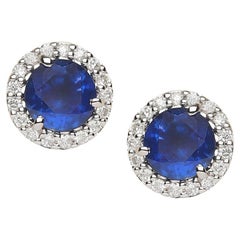 Perfectly matched approx 3ct Ceylon Blue Sapphire Halo Earrings