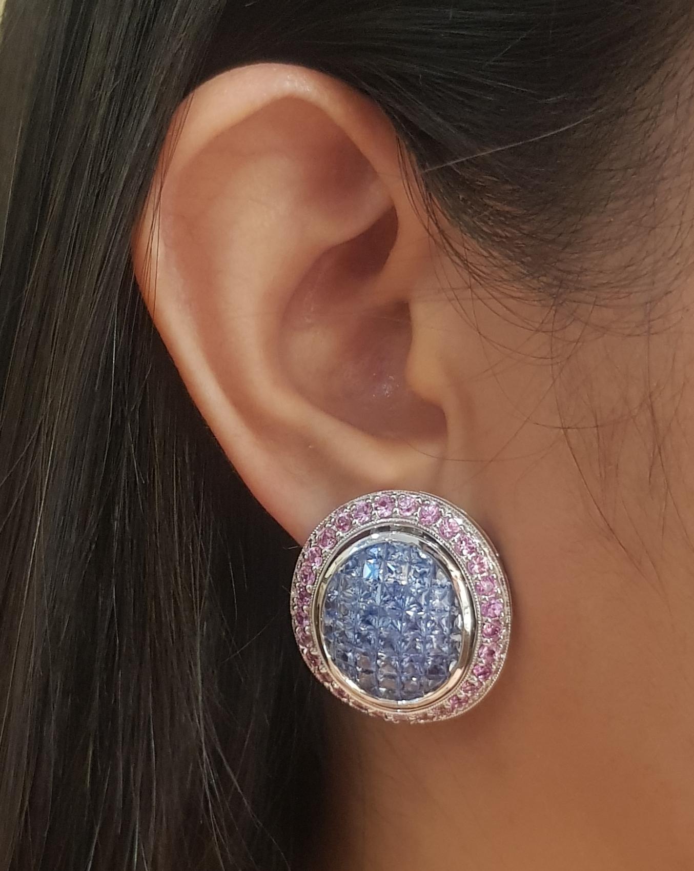 Contemporary Blue Sapphire and Pink Sapphire Earrings set in 18K White Gold Settings For Sale