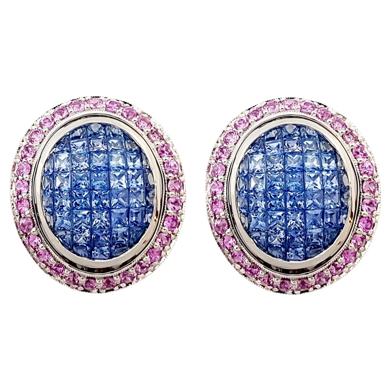 Blue Sapphire and Pink Sapphire Earrings set in 18K White Gold Settings For Sale
