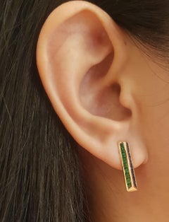 Blue Sapphire and Tsavorite Earrings set in 18K Rose Gold Settings
